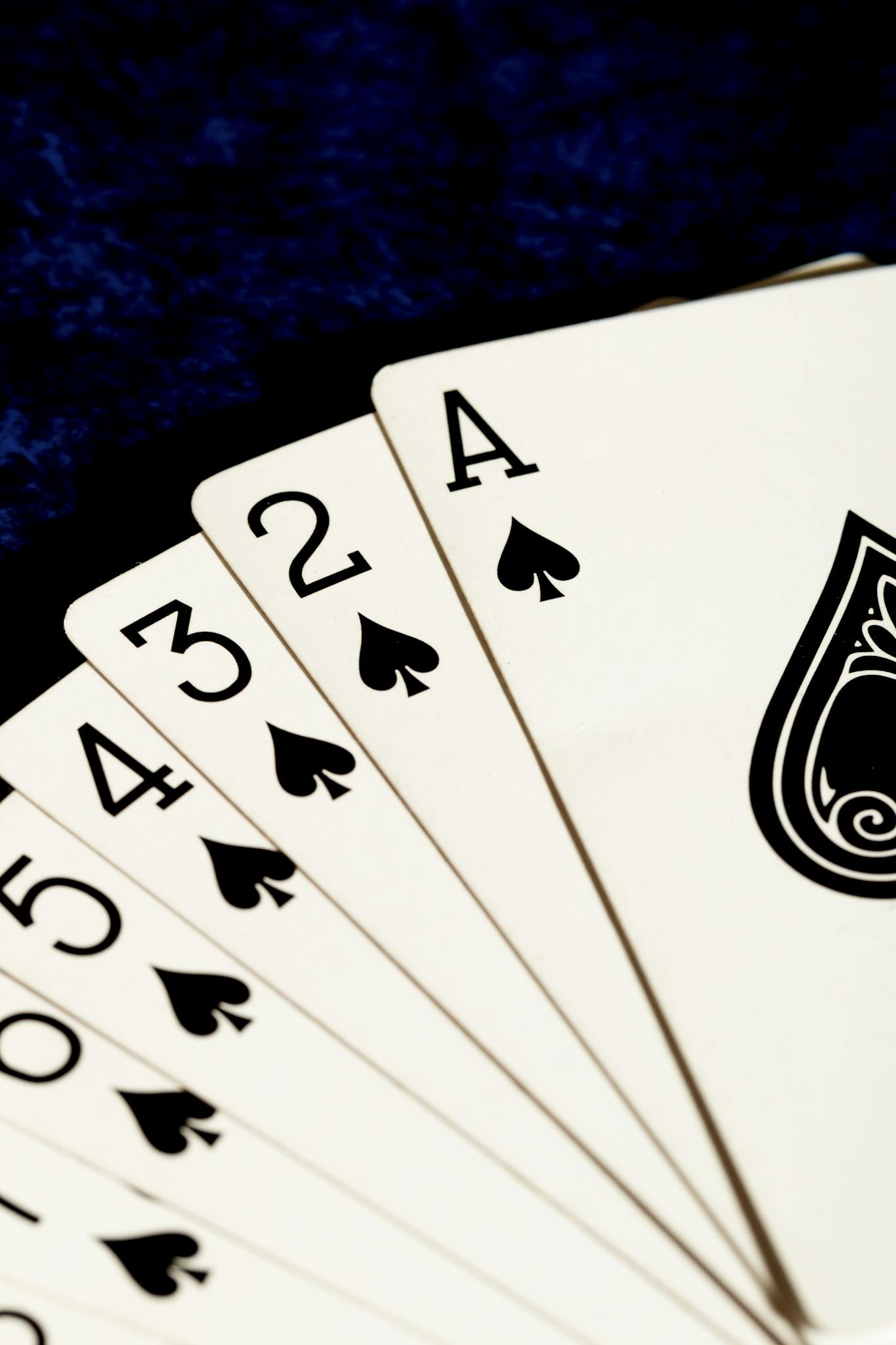 Artistic arrangement of playing cards featuring the spades suit, perfect for casino themes.